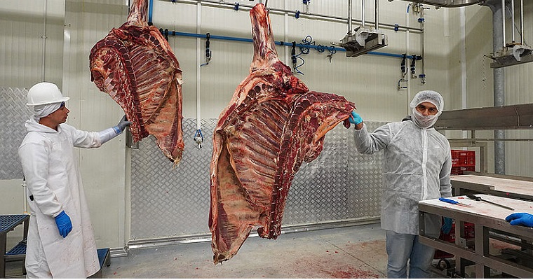 Sello de Calidad para carne de Urabá mejorará su oferta y precio