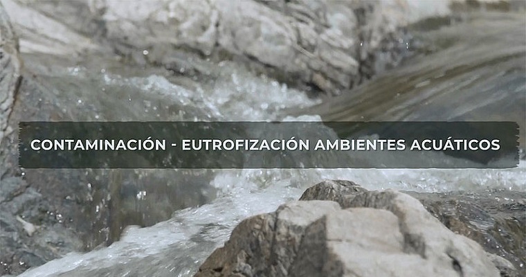 Ambientes acuáticos, amenazados por la eutrofización y la colmatación