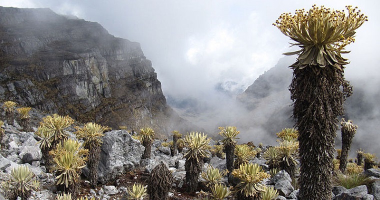 Ranking de vulnerabilidad de páramos colombianos