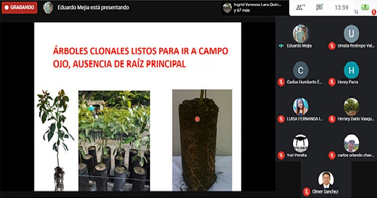 UNAL capacita agricultores del Valle en cultivos de ladera