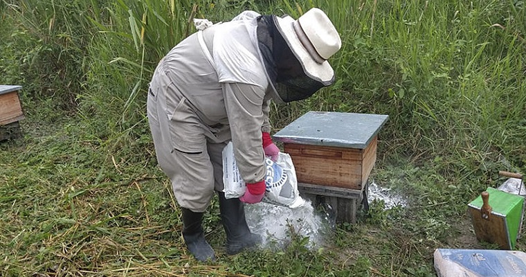 El arte de recuperar colmenas