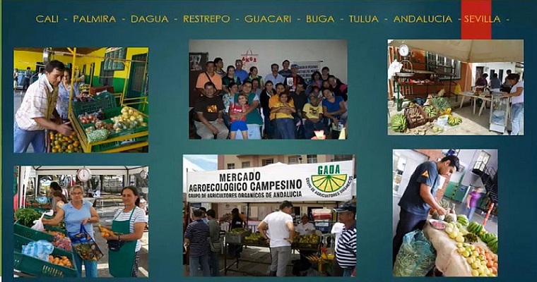 Jóvenes se suman a mercados agroecológicos del Valle