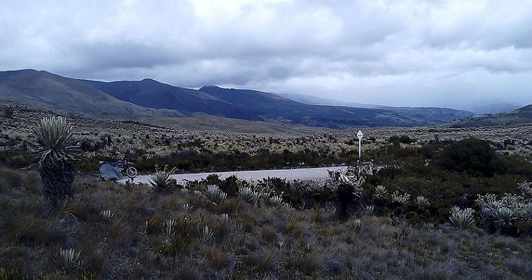 Conservación del páramo de Sumapaz, tarea en red