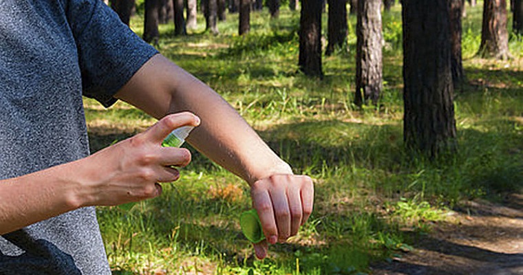 Aceites esenciales combatirían gorgojo de los cereales