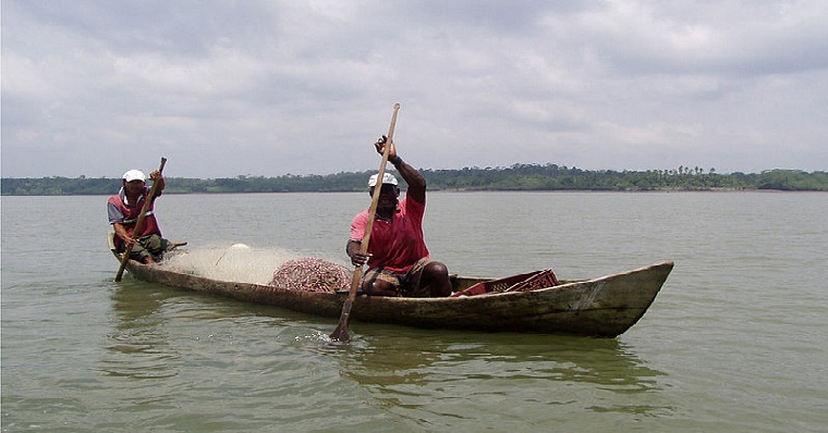 Calentamiento global reduciría hábitat de la sierra en el Pacífico