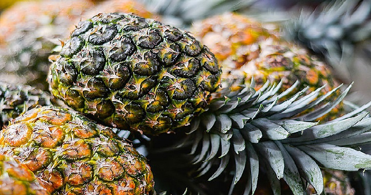 Vida útil de la piña en rodajas se calcula con modelo matemático