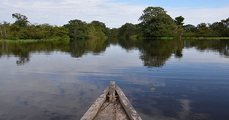 Restaurar la naturaleza va mucho más allá de reforestar