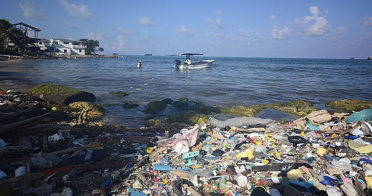 Contaminación marina, un búmeran contra la vida