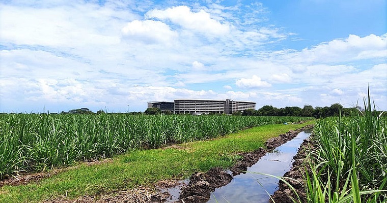 Modelo optimiza sistemas de riego para cultivos del Valle del Cauca