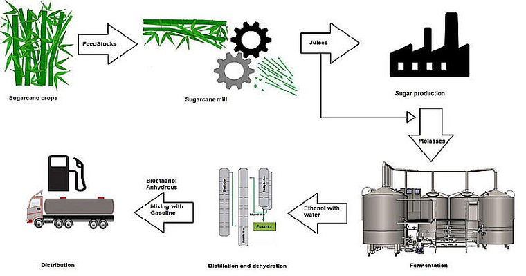 Biocombustibles deben mejorar indicadores sostenibles