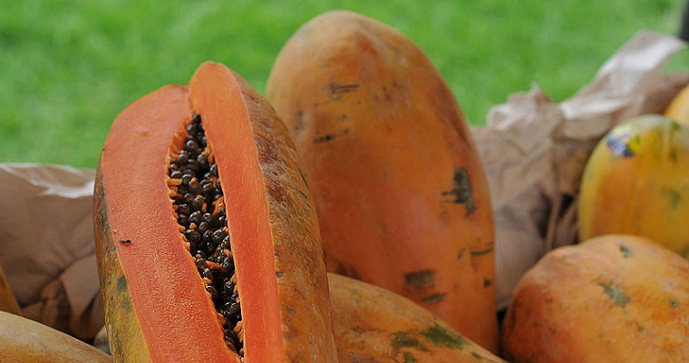 Solventes green optimizan extracción de aceites de semillas