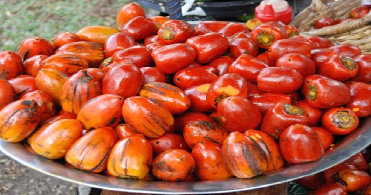 Cáscara de chontaduro, ideal en concentrado para cerdos