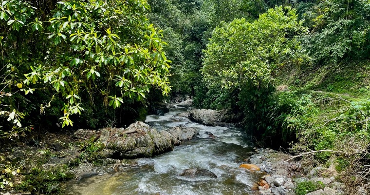 AGROSAVIA firma acuerdo para proteger las cuencas de los ríos Frío y Sevilla en el departamento de Magdalena