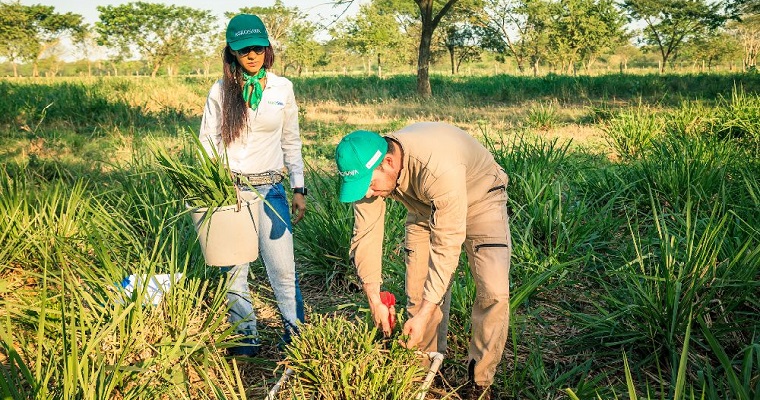 Curso de AlimenTro: Impulsando la eficiencia en la ganadería colombiana