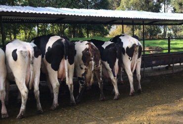 Curso de formación especializado en el sector lechero