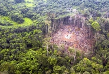 Posible deforestación en zonas de exclusión legal en la Amazonía colombiana