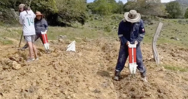Silo de sorgo para alimentar ganado, la apuesta de jóvenes emprendedores