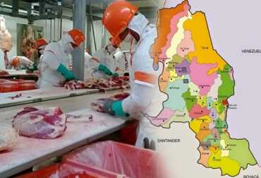 Así funcionará la compensación para ganaderos en Norte de Santander