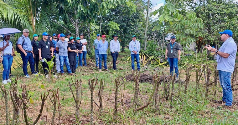 Estrategias para la gestión del sistema ganadero doble propósito ante la variabilidad climática en el departamento del Putumayo