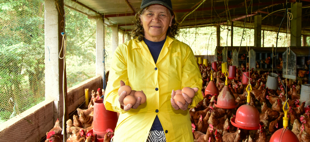 MinAgricultura se suma a la celebración del Día Mundial del Huevo