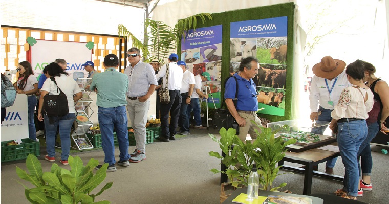 Aliados en el camino Expomalocas 2020
