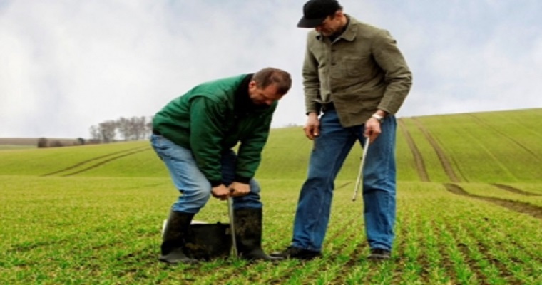 En el Día Mundial del Suelo, el objetivo es detener la erosión para salvar al planeta