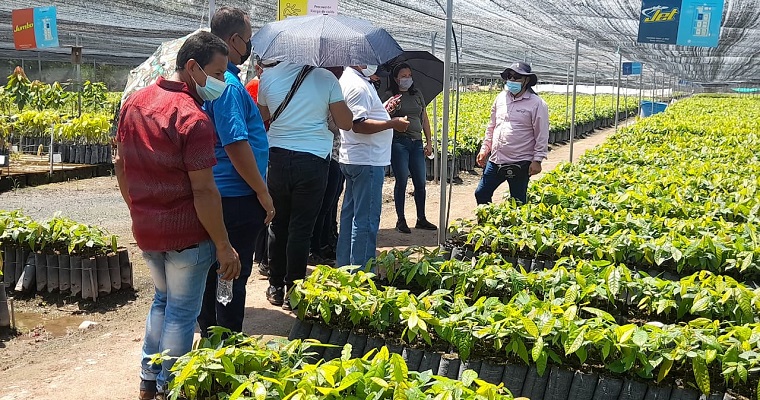 Diez firmantes del acuerdo de paz conocen la Oferta Tecnológica de AGROSAVIA para su proceso de reincorporación social, económica y territorial