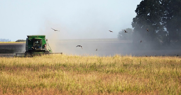 Cuál es el alcance de la revolución digital en el agro