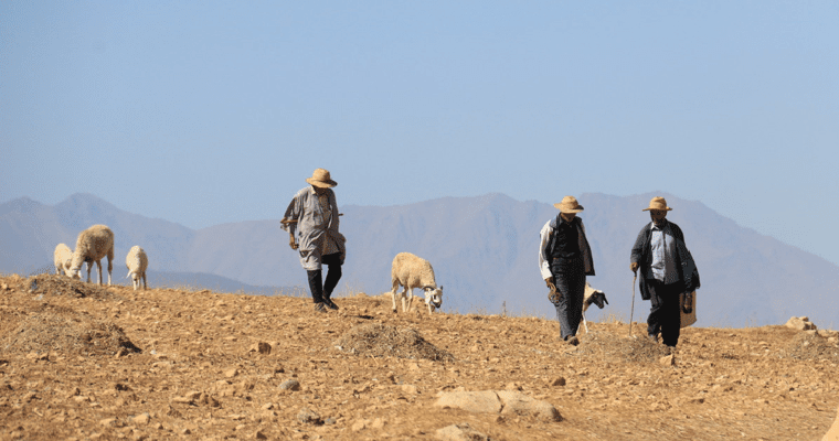Cómo las soluciones agrícolas inteligentes con el agua pueden ayudarnos a detener la desertificación y prosperar frente a futuras sequías