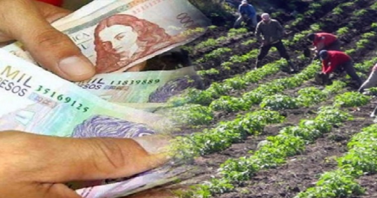 Así sería el efecto del COVID-19 para el agro