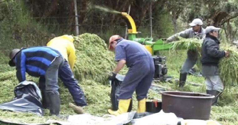 Aspectos a tener en cuenta en la elaboración del silo para que no se le pierda