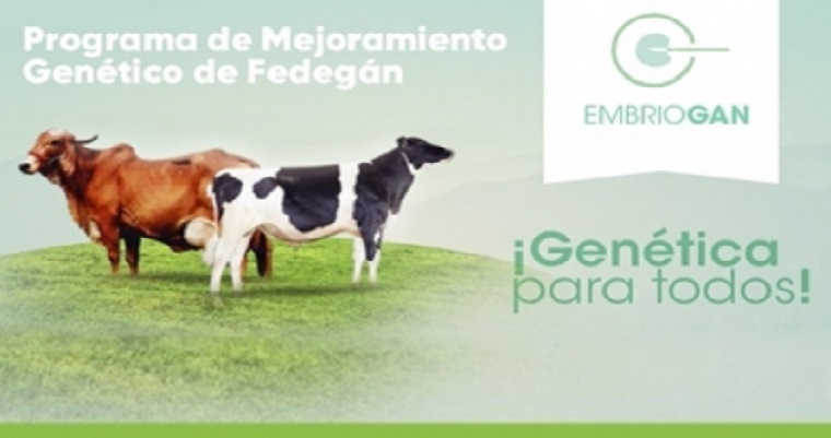 Gran expectativa genera programa de mejoramiento genético de Fedegán