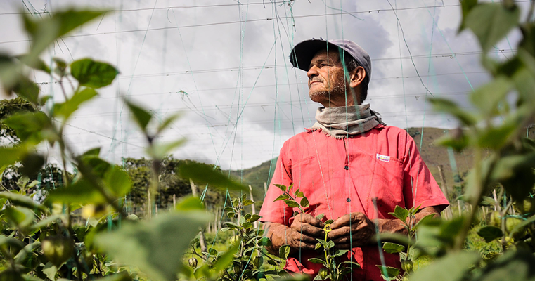 El sector agropecuario, una de las actividades económicas que más empleo generó en septiembre en el país
