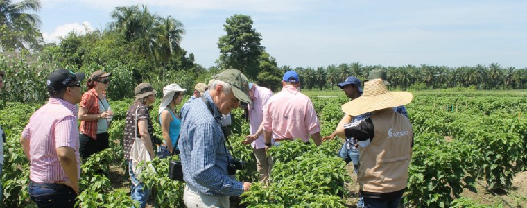 Misión del Reino Unido visitó a AGROSAVIA para buscar alianzas que fortalezcan la investigación agrícola en el posconflicto