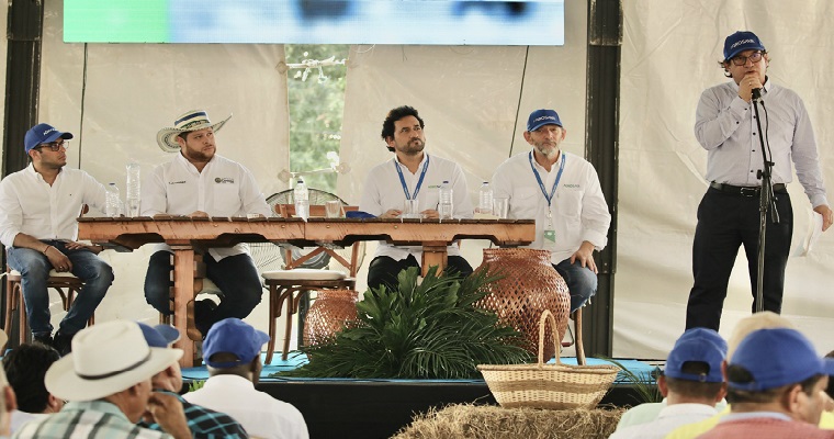 MinAgricultura y AGROSAVIA trabajan por alternativas forrajeras para alimentación de bovinos en épocas críticas