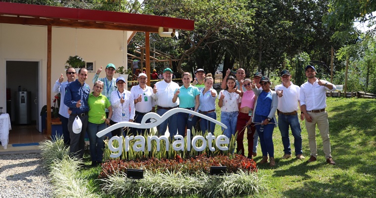 AGROSAVIA y Gramalote Colombia unen esfuerzos para fortalecer los cultivos de caña panelera y evaluar la producción de lima ácida Tahití en el Nordeste y Magdalena Medio antioqueño