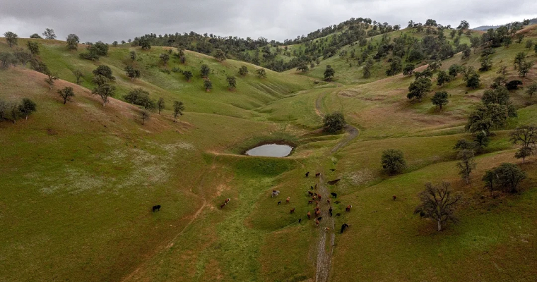 Más de 36.000 millones de toneladas de suelo fértil se pierden por culpa de la erosión