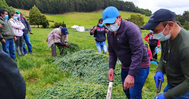 Espacio para la experiencia del cliente para la cadena de valor láctea en el trópico alto Colombiano