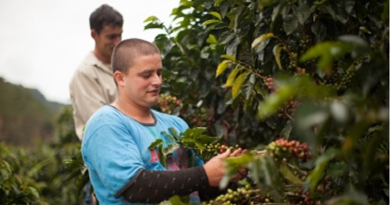 Una especialización con aroma de café