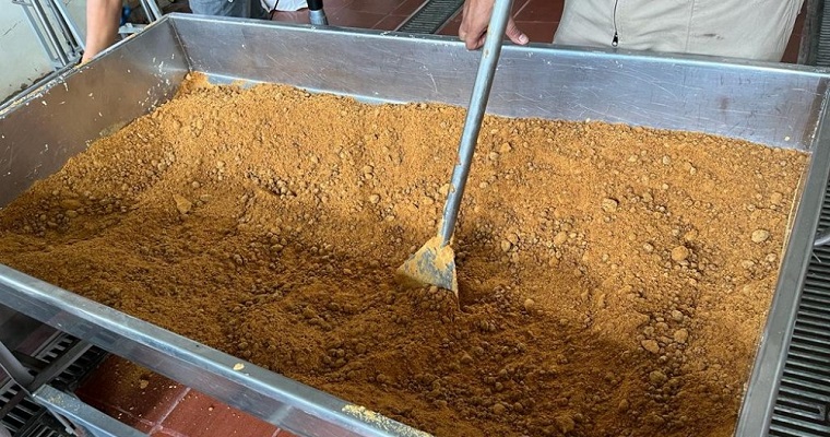 AGROSAVIA impulsa investigación participativa de variedades promisorias de caña de azúcar para producción de panela