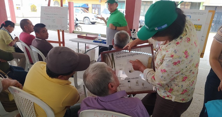 Resultados de investigación para el fortalecimiento del sector panelero en el occidente de Nariño