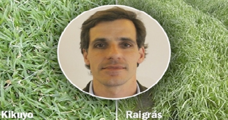 Experto argentino aconseja estos pastos para lecherías en trópico alto de Colombia