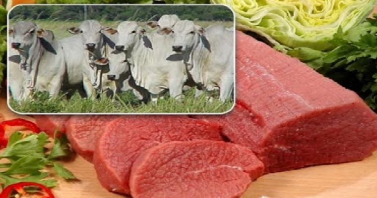 Así afecta al campo colombiano la guerra entre Rusia y Ucrania