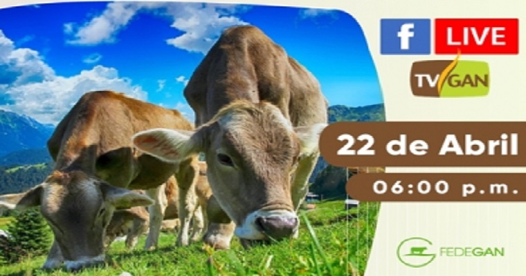 Aprenda cómo usar IATF para mejorar parámetros en su ganadería