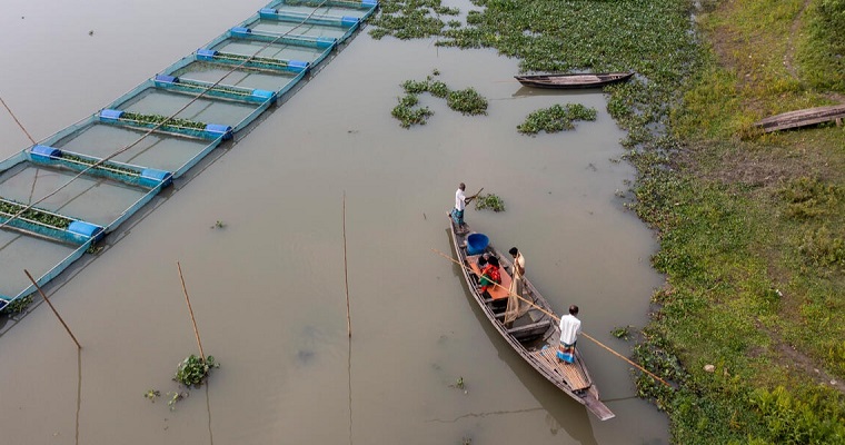 Informe de la FAO: La producción pesquera y acuícola mundial alcanza un nivel sin precedentes