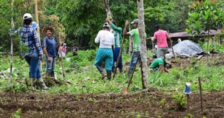 Los retos del Decenio de la Agricultura Familiar