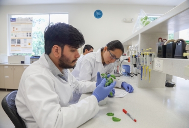 Fedepalma, presente en Expo Agrofuturo con innovación para el agro