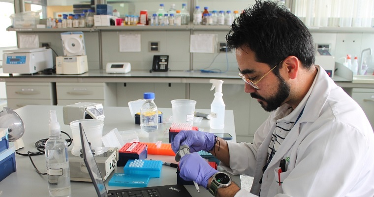 FENAVI y AGROSAVIA promueven prácticas sostenibles en la avicultura