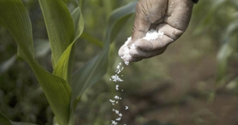 Elabore nitrógeno nítrico con residuos de cosecha en su finca