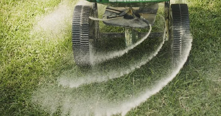 4 preguntas y respuestas de los fertilizantes para pastos